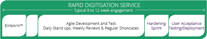 Rapid Digitisation Process