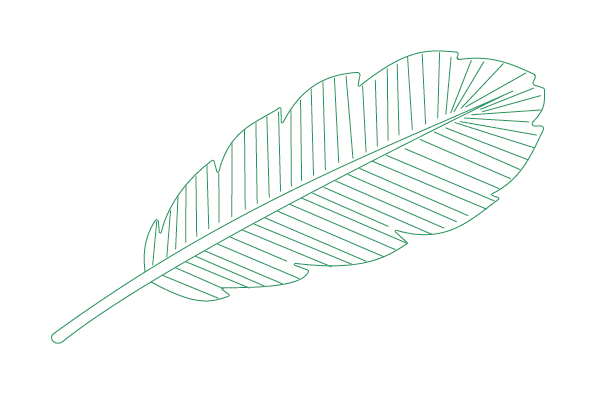 Feather-01