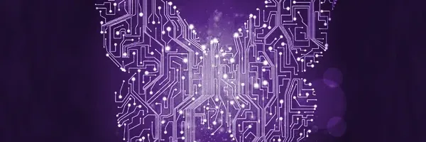 butterfly-transformer-feature