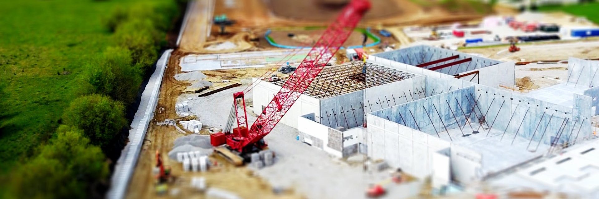 const